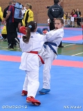 dmd20120401__NKWado-0349