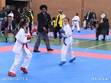 dmd20120401__NKWado-0350