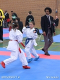 dmd20120401__NKWado-0356