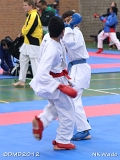 dmd20120401__NKWado-0386