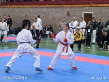 dmd20120401__NKWado-0398