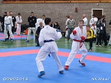 dmd20120401__NKWado-0400