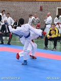 dmd20120401__NKWado-0401