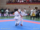 dmd20120401__NKWado-0403