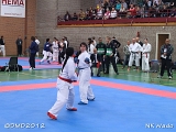 dmd20120401__NKWado-0406