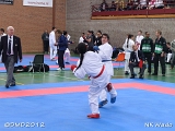 dmd20120401__NKWado-0407