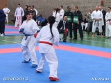 dmd20120401__NKWado-0408