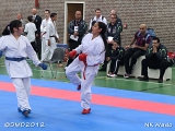 dmd20120401__NKWado-0416