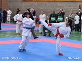 dmd20120401__NKWado-0417