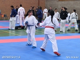 dmd20120401__NKWado-0420