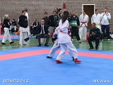 dmd20120401__NKWado-0437