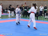 dmd20120401__NKWado-0438