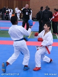 dmd20120401__NKWado-0469