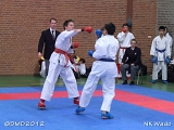 dmd20120401__NKWado-0471