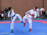 dmd20120401__NKWado-0472