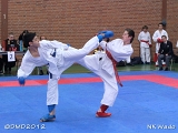 dmd20120401__NKWado-0473