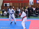 dmd20120401__NKWado-0479