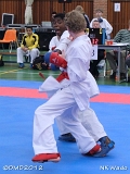 dmd20120401__NKWado-0480