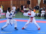 dmd20120401__NKWado-0490