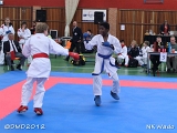 dmd20120401__NKWado-0492