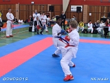 dmd20120401__NKWado-0494