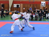 dmd20120401__NKWado-0498