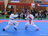 dmd20120401__NKWado-0501