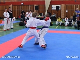 dmd20120401__NKWado-0503