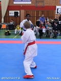 dmd20120401__NKWado-0504