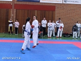 dmd20120401__NKWado-0506