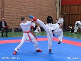 dmd20120401__NKWado-0508