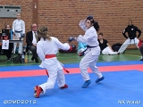 dmd20120401__NKWado-0516