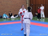 dmd20120401__NKWado-0517