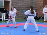 dmd20120401__NKWado-0520