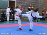 dmd20120401__NKWado-0521