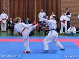 dmd20120401__NKWado-0523