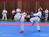 dmd20120401__NKWado-0524