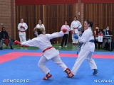 dmd20120401__NKWado-0525