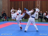 dmd20120401__NKWado-0527