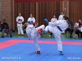 dmd20120401__NKWado-0528