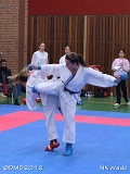 dmd20120401__NKWado-0535