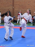 dmd20120401__NKWado-0540