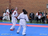 dmd20120401__NKWado-0542