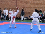 dmd20120401__NKWado-0545