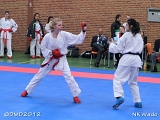 dmd20120401__NKWado-0546