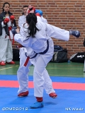 dmd20120401__NKWado-0548