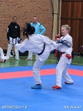 dmd20120401__NKWado-0553