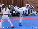 dmd20120401__NKWado-0558