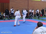 dmd20120401__NKWado-0567