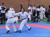 dmd20120401__NKWado-0569